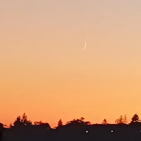 I Tre Gatti Frassinello