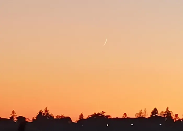 I Tre Gatti Frassinello Monferrato